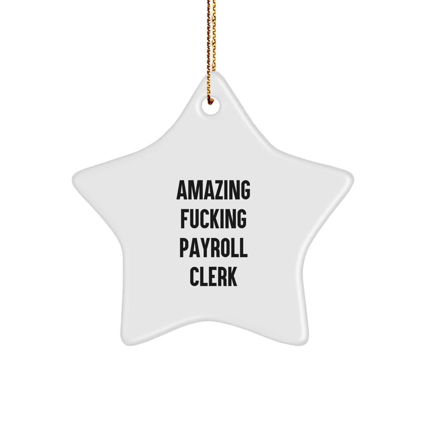 Funny Payroll Clerk Gifts from Women, Star Ornament for Christmas Unique Gifts, Amazing Payroll Clerk Star Decoration - The Buy Boom