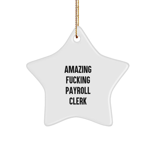 Funny Payroll Clerk Gifts from Women, Star Ornament for Christmas Unique Gifts, Amazing Payroll Clerk Star Decoration - The Buy Boom