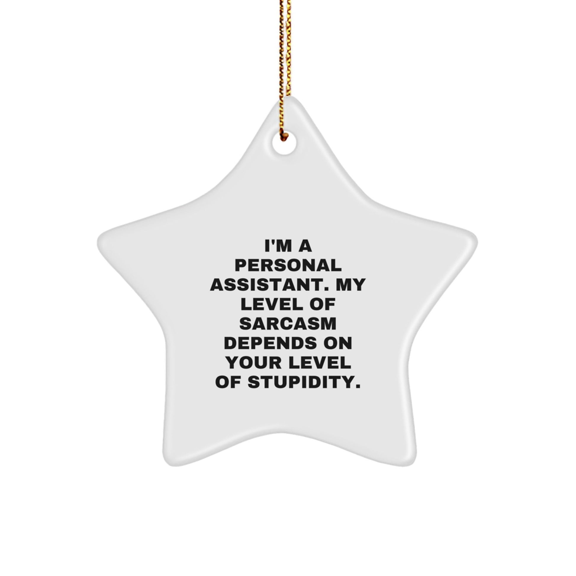 Funny Personal Assistant Gifts for Men, Unique Star Ornament from Friends, I'm A Personal Assistant. My Level Of Sarcasm Depends On Your Level Of Stupidity. - The Buy Boom