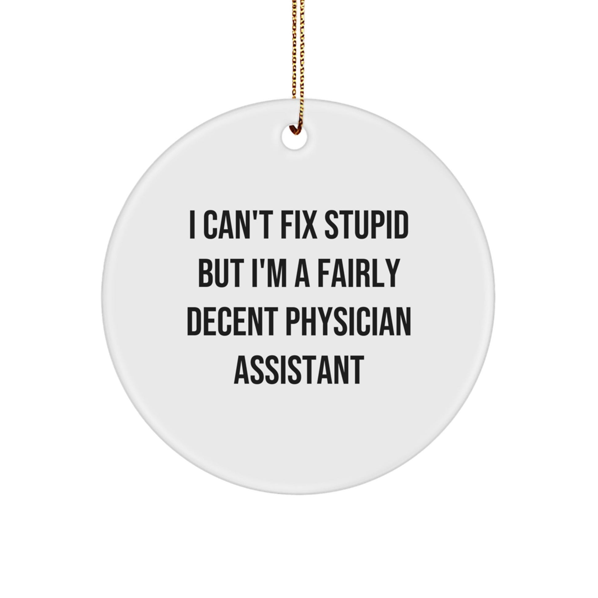 Funny Physician Assistant Christmas Unique Gifts for Men Women Friends Coworkers Family - I 'Can't Fix Stupid' Circle Ornament - Gifts from Physician Assistant - The Buy Boom