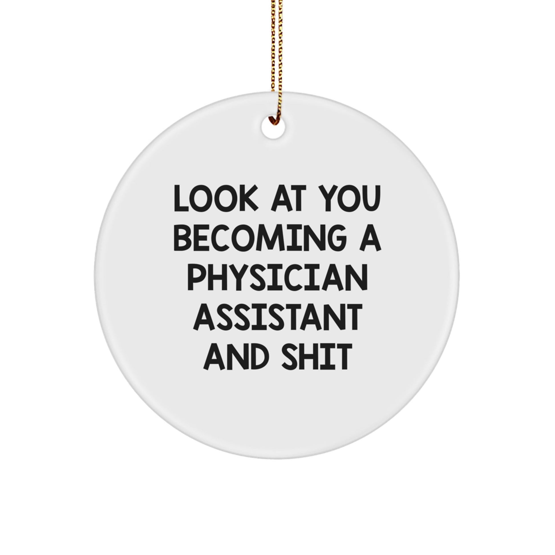 Funny Physician Assistant Gifts from Friends - Circle Ornament for Christmas Unique Gifts for Physician Assistant Men Friends - The Buy Boom