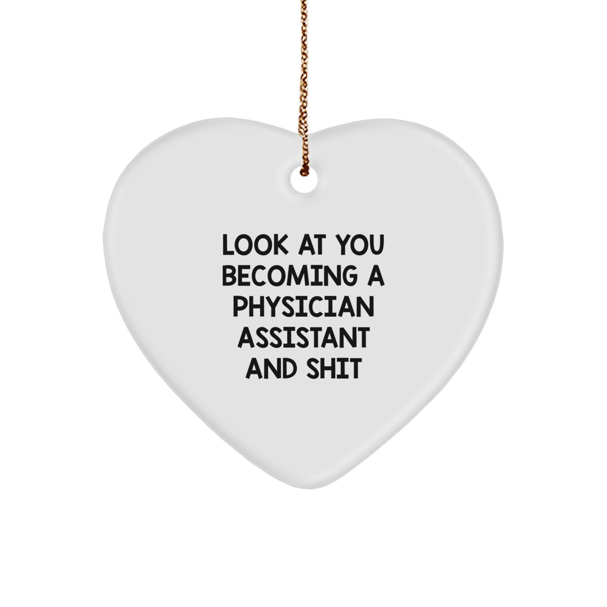 Funny Physician Assistant Gifts from Friends for Christmas - Heart Ornament with Inspirational Quote - Gifts for Physician Assistant PA - The Buy Boom