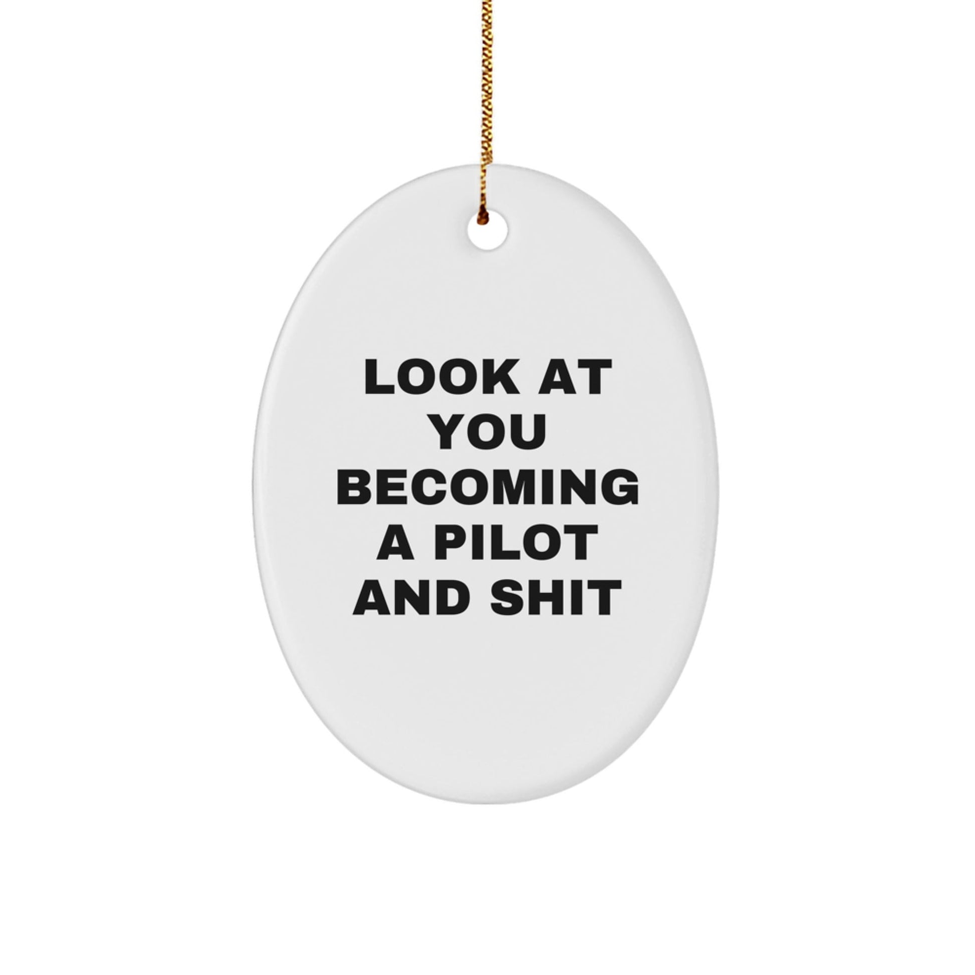 Funny Pilot Oval Ornament Gifts for Men from Friends, Look At You Becoming A Pilot And Shit Christmas Unique Gifts - The Buy Boom