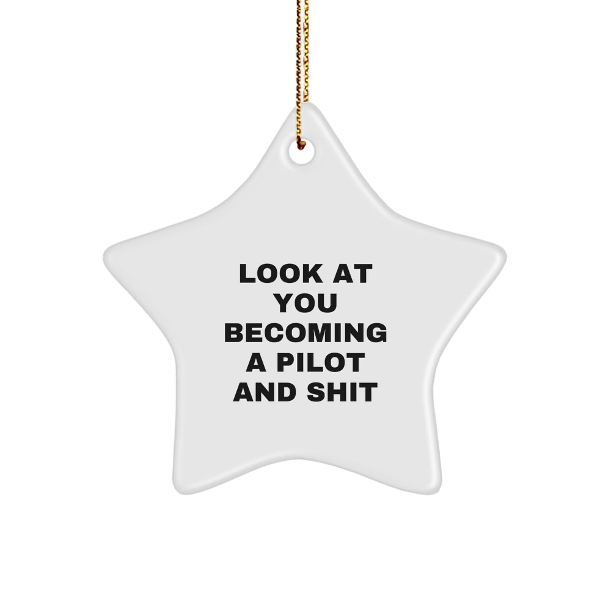 Funny Pilot Star Ornament, Gifts from Friends for Pilot, Star Ornament Christmas Unique Gifts, Look At You Becoming A Pilot And Shit - The Buy Boom