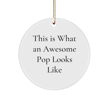 Funny Pop Gifts from Friends, This Is What Awesome Looks Like, Circle Ornament for Christmas, Gifts for Pop Enthusiasts, 2.75" tall, 0.5 oz - The Buy Boom