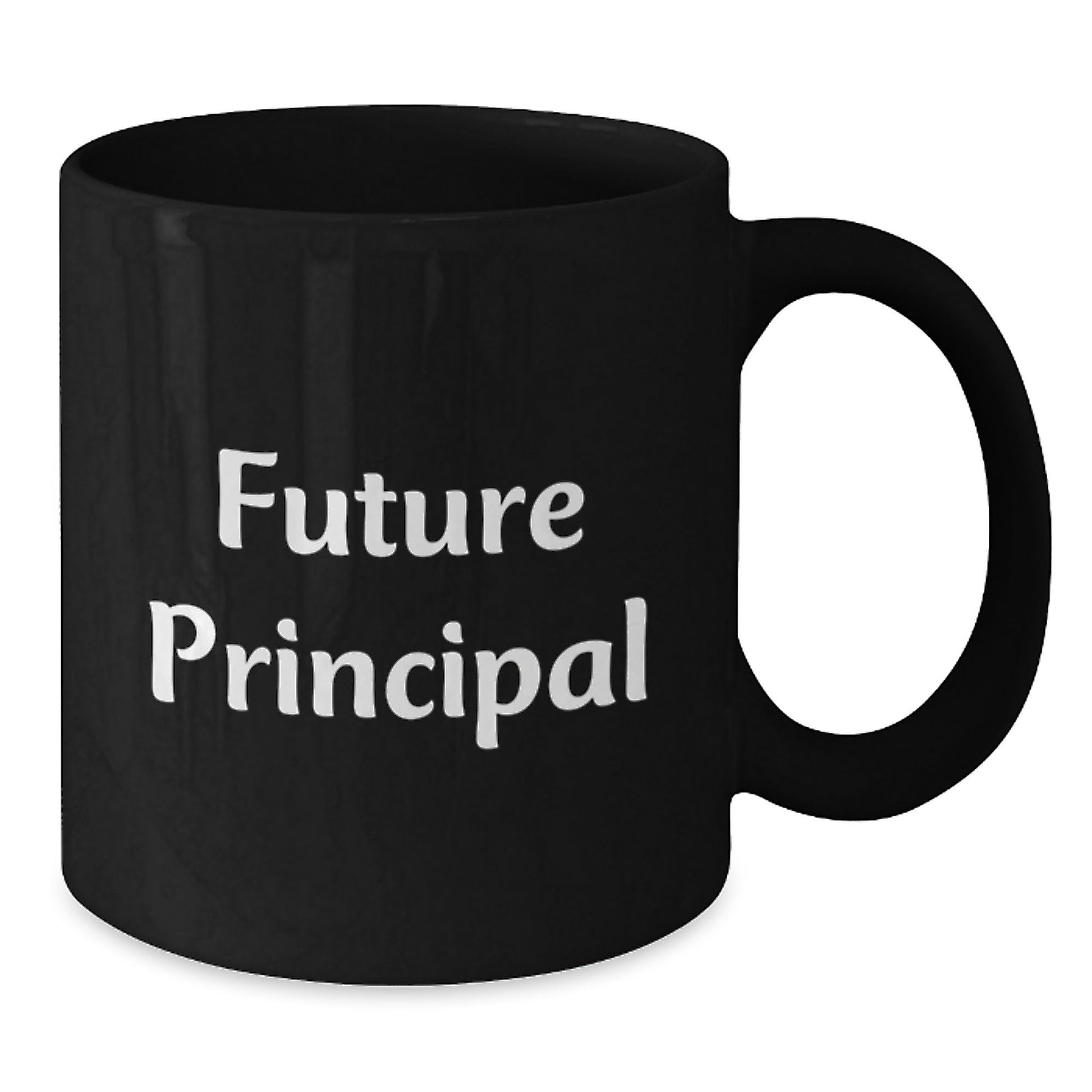 Funny Principal Gifts from Family, Inspirational Quotes for Principal, Black Coffee Mug for Christmas Unique Gifts - The Buy Boom