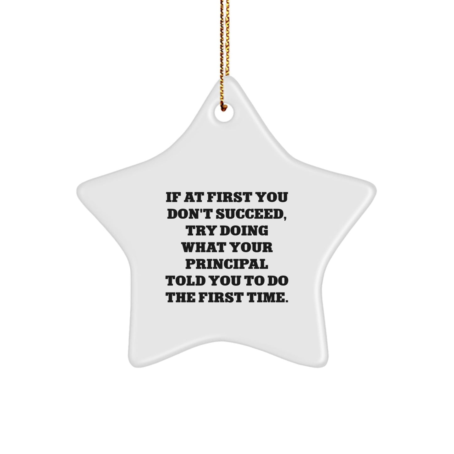 Funny Principal Gifts from Men to Women Star Ornament If At First You Don't Succeed, Try Doing What Your Principal Told You To Do The First Time. Christmas Unique Gifts - The Buy Boom