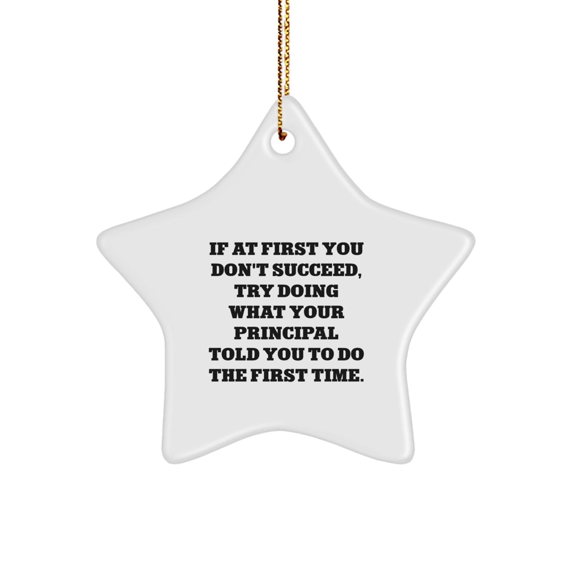 Funny Principal Gifts from Men to Women Star Ornament If At First You Don't Succeed, Try Doing What Your Principal Told You To Do The First Time. Christmas Unique Gifts - The Buy Boom