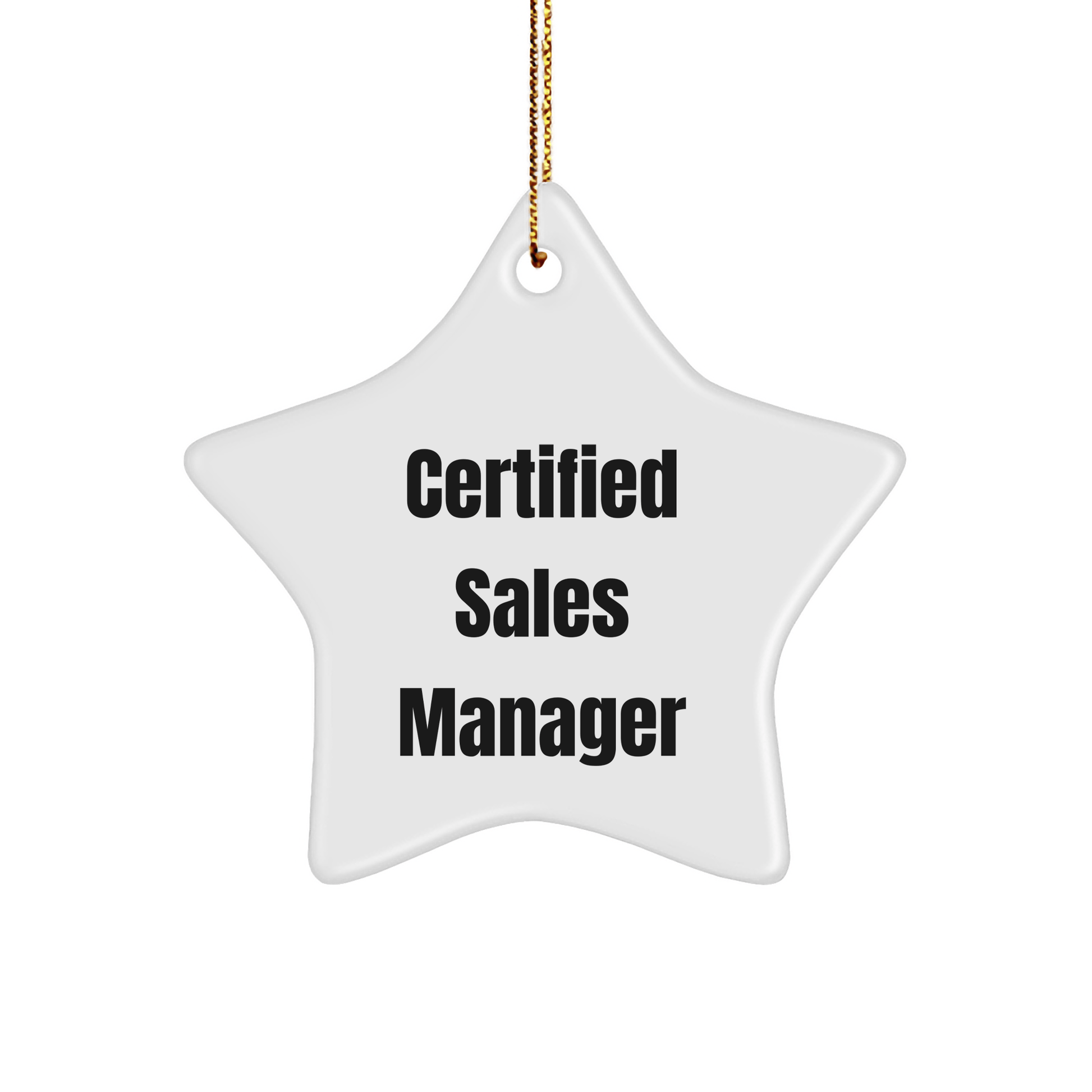 Funny Quote Certified Sales Manager Star Ornament Gifts for Men from Friends, 'Believe You Can and You're Half Way There', Christmas Unique Gifts - The Buy Boom