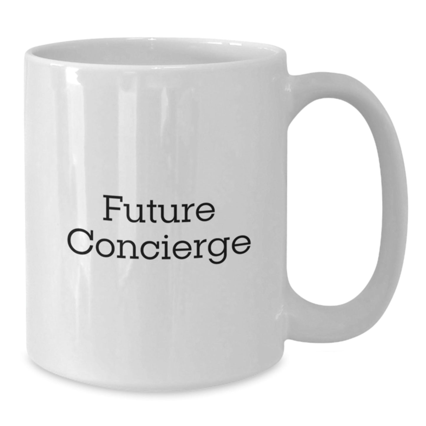Funny Quote Future Concierge Christmas Unique Gifts from Friends for Concierge, White Coffee Mug, Funny Quote - The Buy Boom