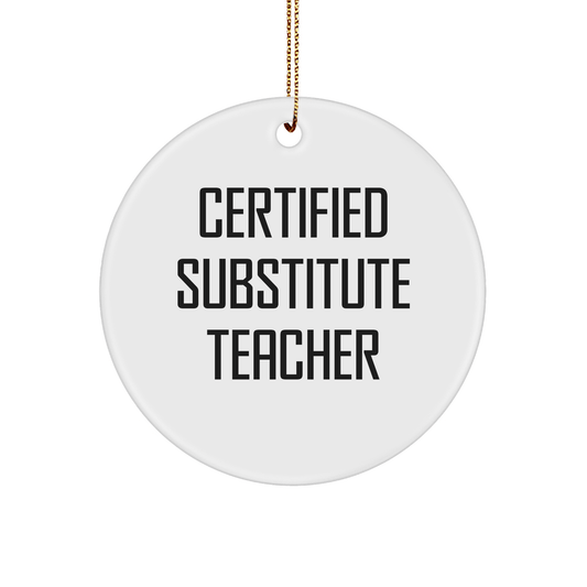 Funny Quote Gifts from Friends to Substitute Teachers - Christmas Circle Ornament - The Buy Boom