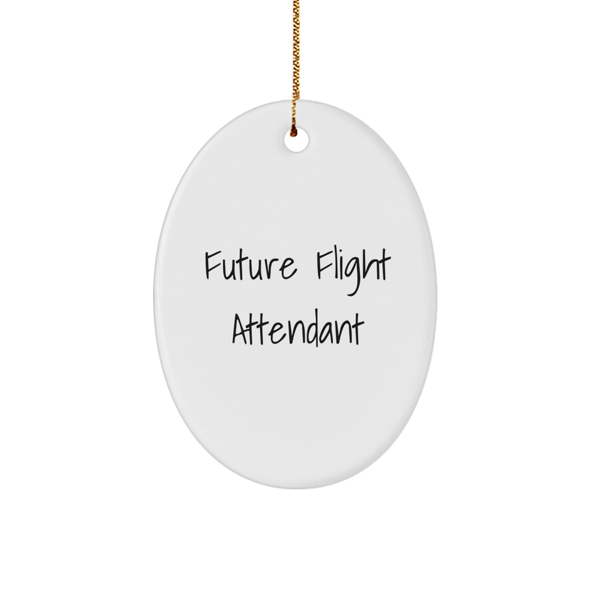 Funny Quote Gifts from Men to Future Flight Attendant Christmas Unique Gifts Oval Ornament - The Buy Boom