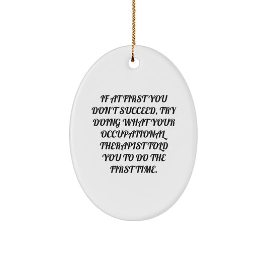 Funny Quote Occupational Therapist Gift Ideas Oval Ornament Christmas Unique Presents from Friends to Men or Women Coworkers Family - The Buy Boom