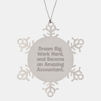 Funny Quotes Accountant Gifts Snowflake Ornament Stainless Steel Christmas Unique Presents for Family Office Decor - The Buy Boom