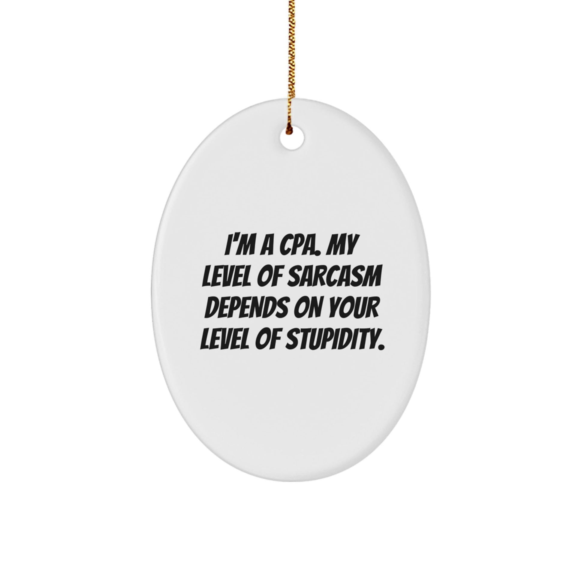 Funny Sarcasm Oval Ornament Gifts for CPAs, Christmas Unique Ideas from Friends to Family - The Buy Boom