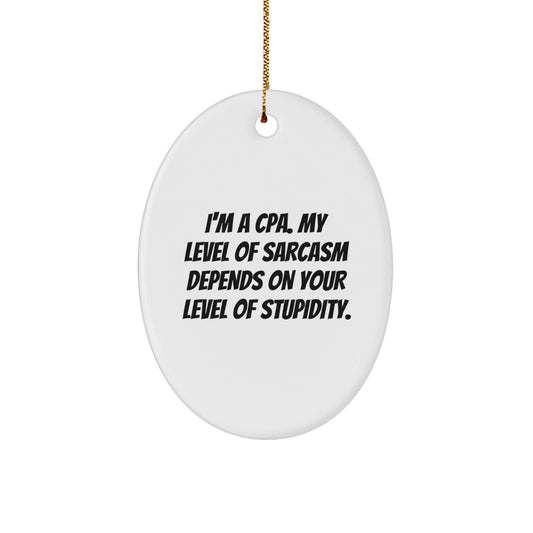 Funny Sarcasm Oval Ornament Gifts for CPAs, Christmas Unique Ideas from Friends to Family - The Buy Boom