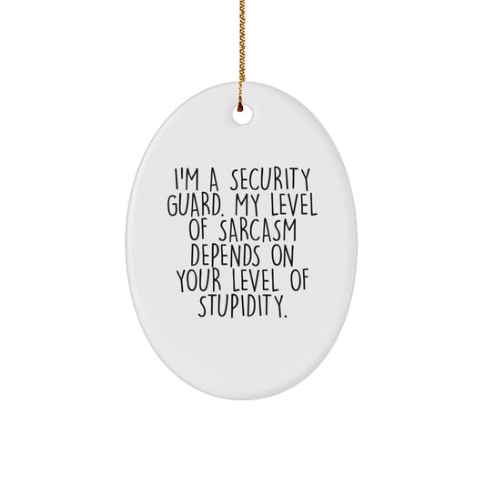 Funny Sarcasm Security Guard Gifts, Oval Ornament for Christmas from Friends, Unique Present for Men, Women, Coworkers, Family - The Buy Boom