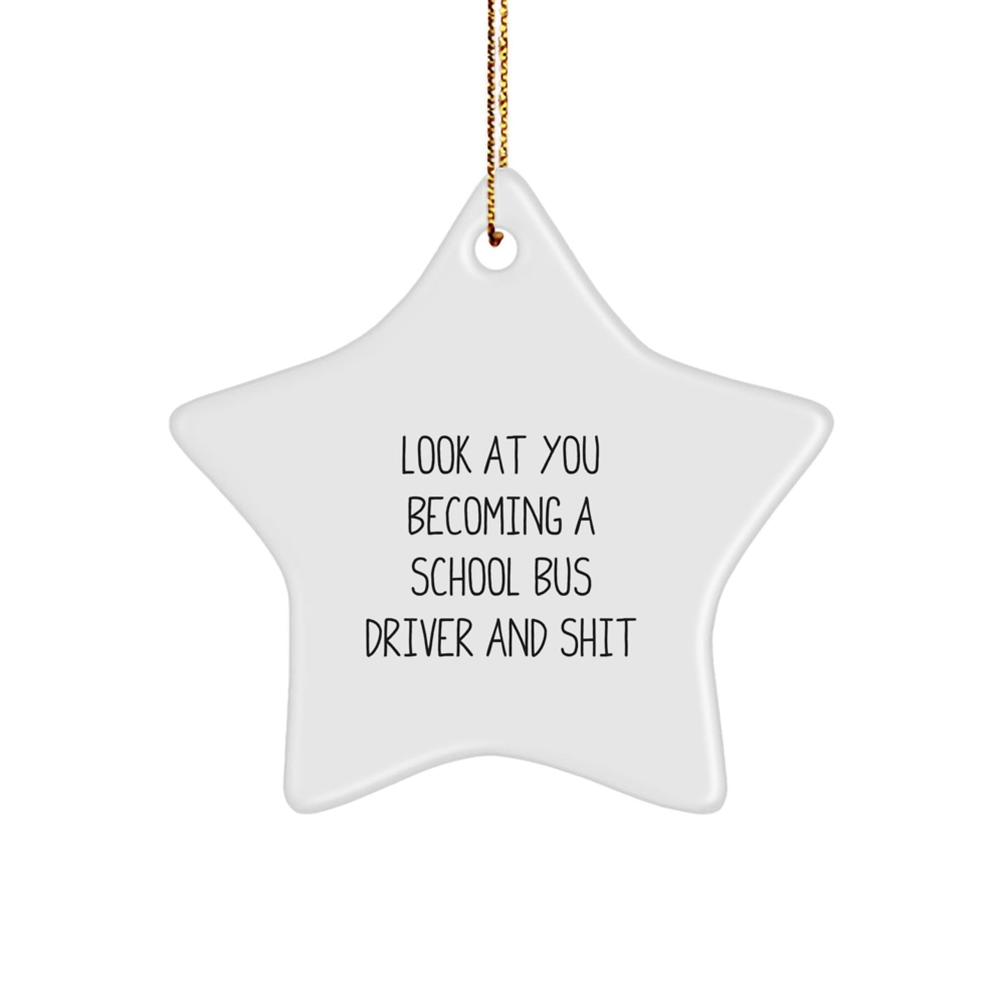 Funny School Bus Driver Gifts for Him, Star Ornament with Look At You Becoming A School Bus Driver And Shit Quote, Christmas Unique Presents from Friends - The Buy Boom