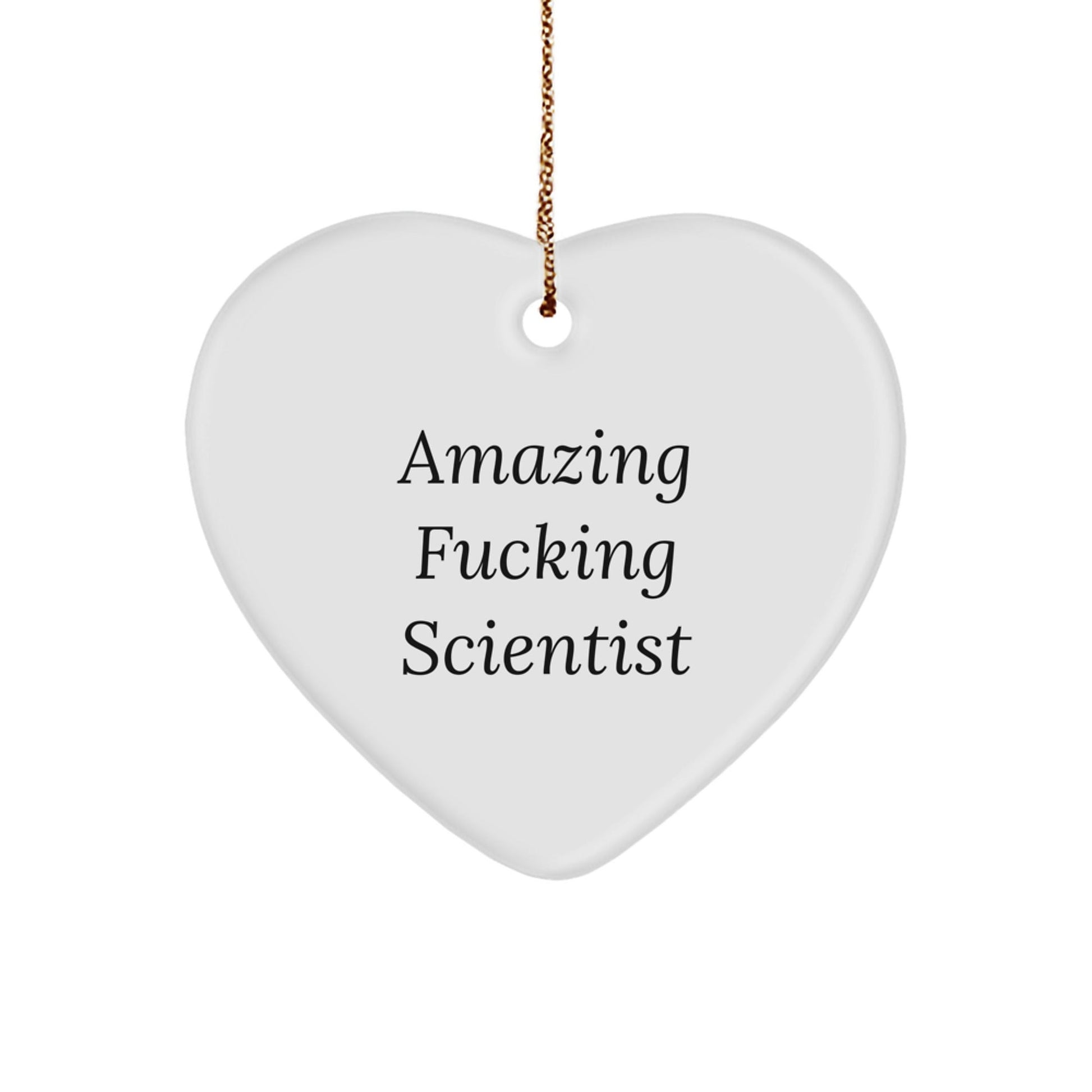 Funny Scientist Heart Ornament Gifts from Friends for Men Women Christmas Unique Gifts - The Buy Boom