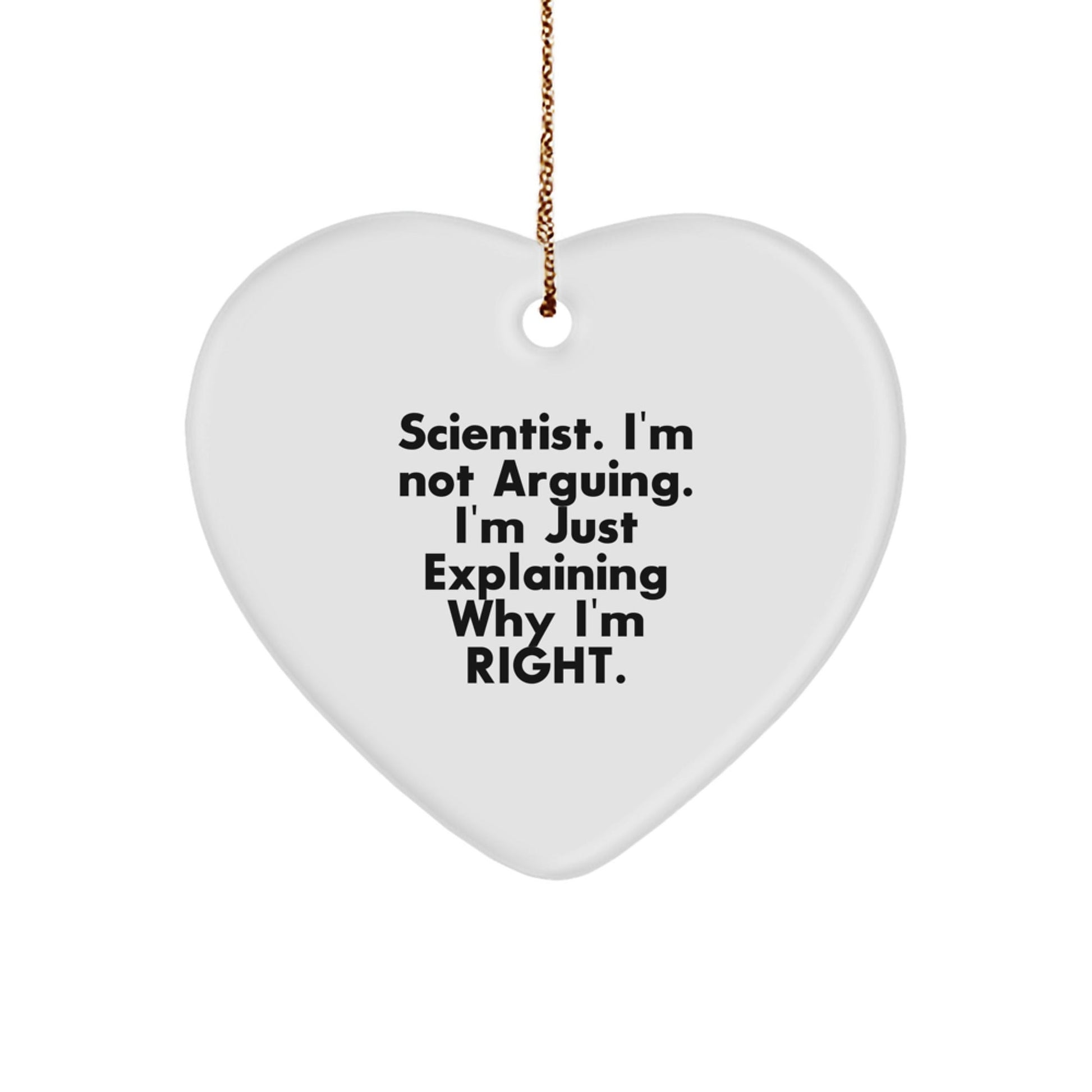Funny Scientist Quotes Heart Ornament Gifts from Men to Women Friends or Coworkers for Christmas Unique Presents - The Buy Boom