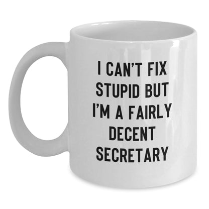 Funny Secretary Christmas Unique Gifts from Friends, White Coffee Mug for Secretary - I Can't Fix Stupid But I'm A Fairly Decent Secretary, Office Secretary Mug - The Buy Boom