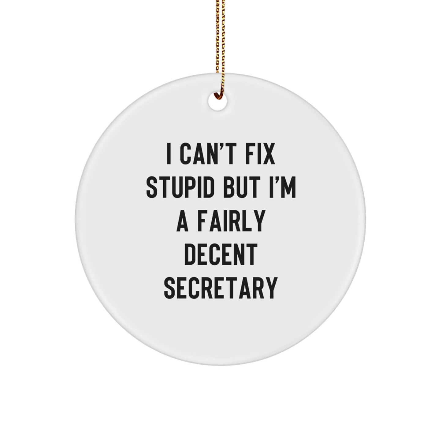 Funny Secretary Circle Ornament Gifts from Friends for Secretary, Christmas Unique Office Decorations, I Can't Fix Stupid Secretary - The Buy Boom