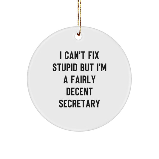 Funny Secretary Circle Ornament Gifts from Friends for Secretary, Christmas Unique Office Decorations, I Can't Fix Stupid Secretary - The Buy Boom