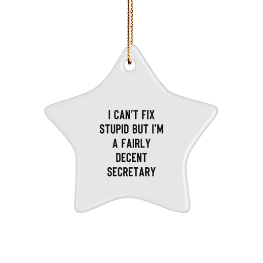 Funny Secretary Gifts from Friends for a Secretary - Star Ornament Christmas Unique Decorations - The Buy Boom