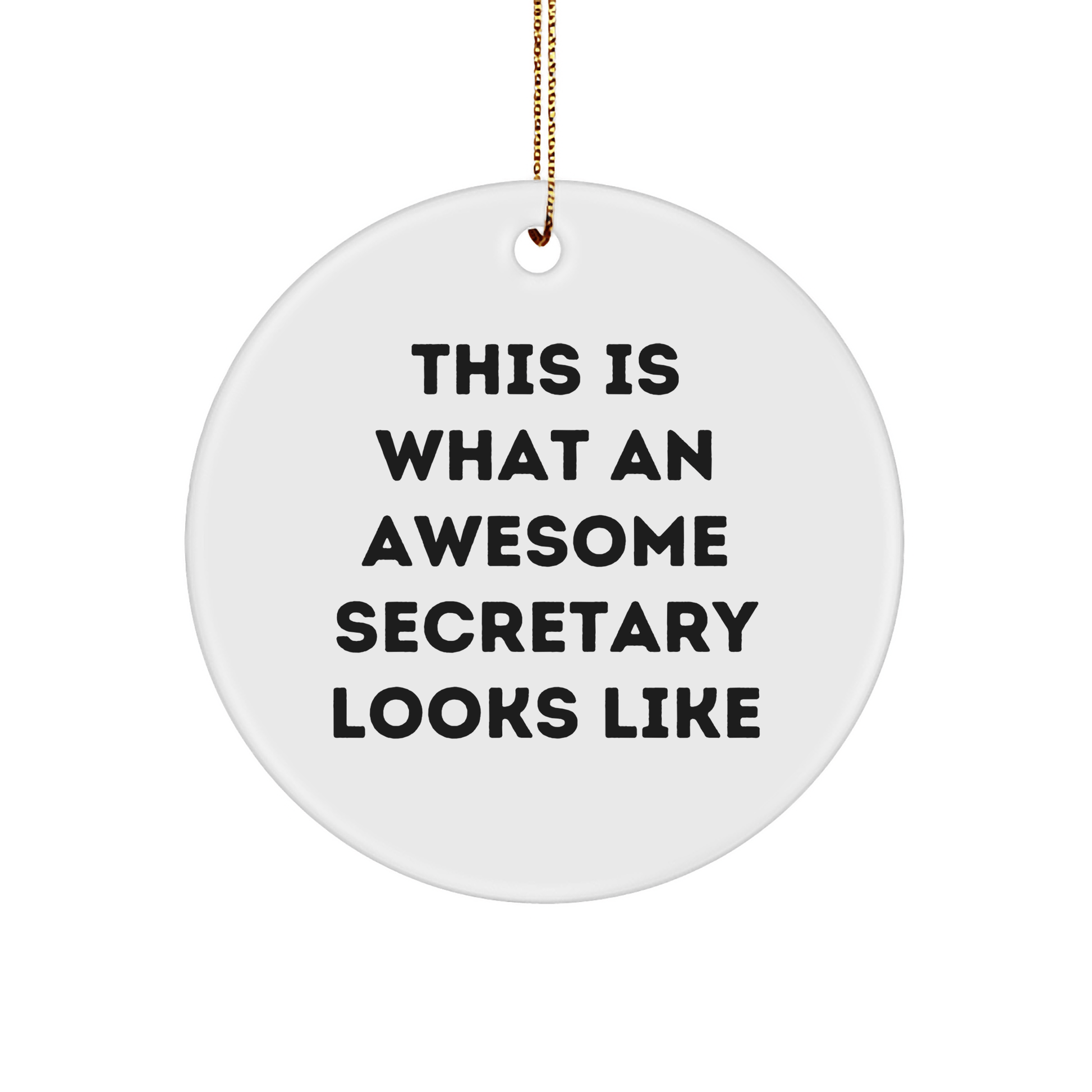 Funny Secretary Gifts from Men - This Is What An Awesome Secretary Looks Like Circle Ornament for Women, Coworkers, Family, and Friends on Christmas - The Buy Boom