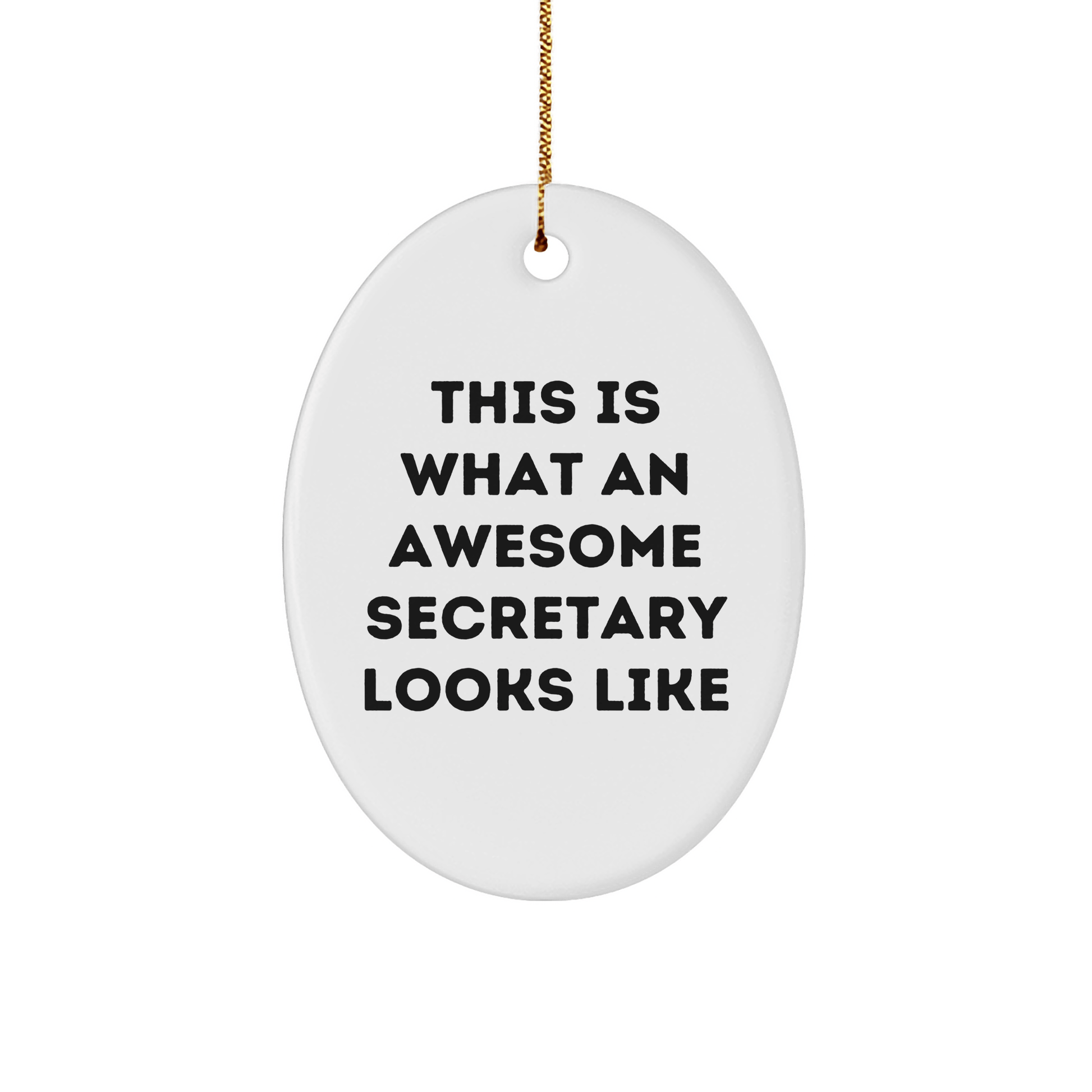 Funny Secretary Gifts, Oval Ornament, 'This Is What An Awesome Secretary Looks Like', Christmas Unique Gifts from Friends to Secretary, Unique Oval Shaped Decor for Home Office - The Buy Boom