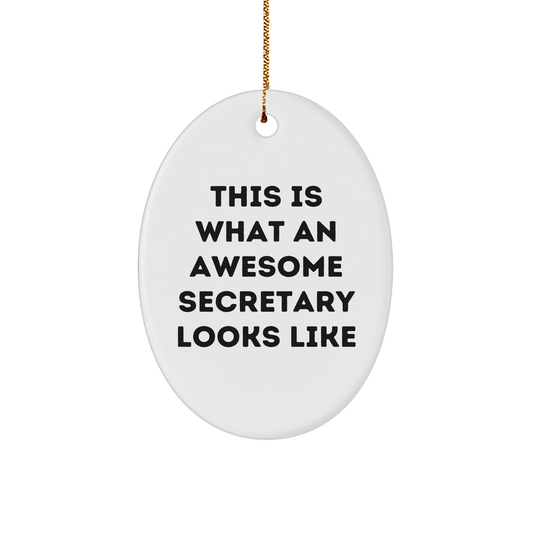 Funny Secretary Gifts, Oval Ornament, 'This Is What An Awesome Secretary Looks Like', Christmas Unique Gifts from Friends to Secretary, Unique Oval Shaped Decor for Home Office - The Buy Boom