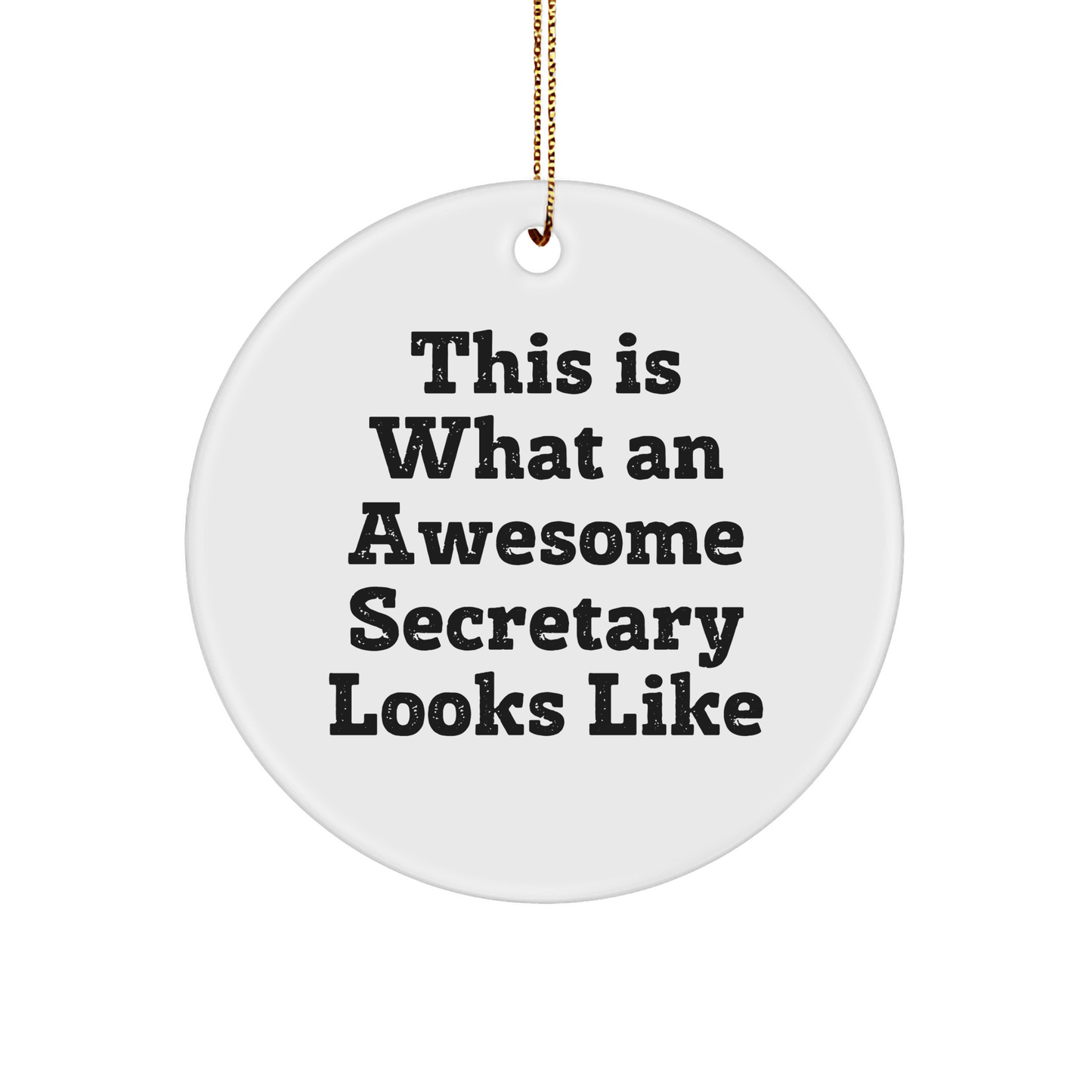 Funny Secretary Gifts, 'This Is What An Awesome Secretary Looks Like' Circle Ornament, Gifts from Friends to Secretary, Perfect for Christmas - The Buy Boom