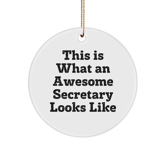 Funny Secretary Gifts, 'This Is What An Awesome Secretary Looks Like' Circle Ornament, Gifts from Friends to Secretary, Perfect for Christmas - The Buy Boom