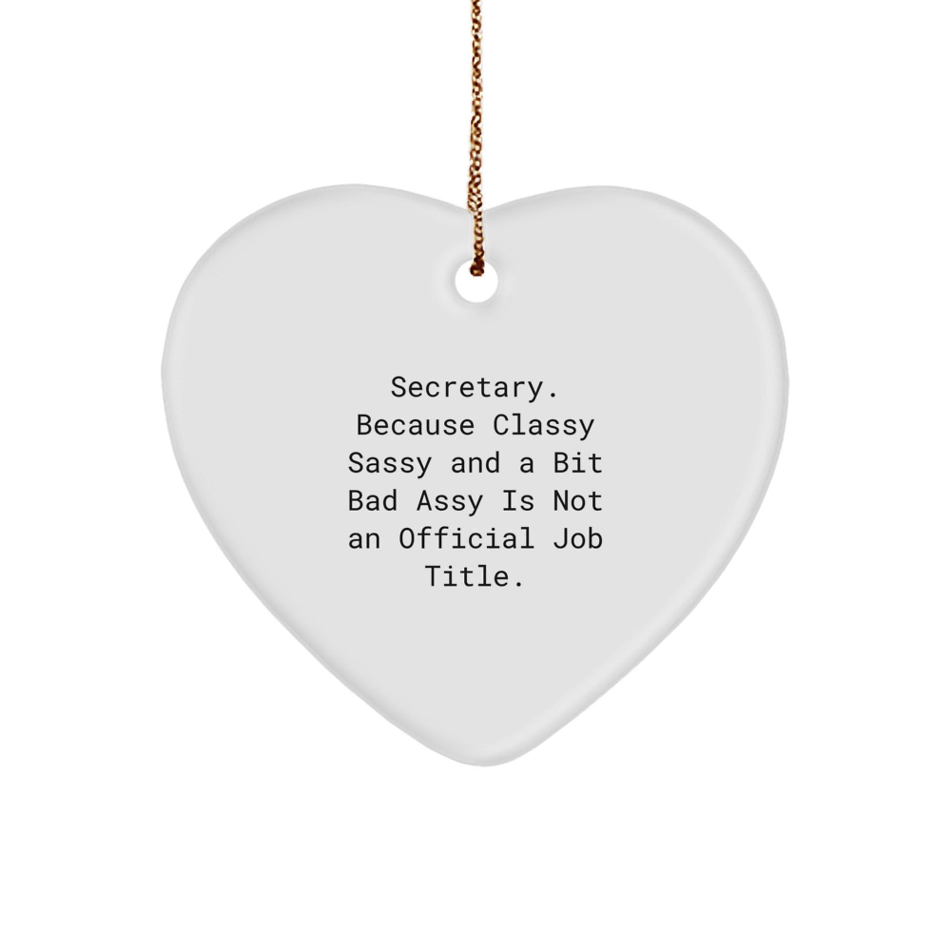 Funny Secretary Heart Ornament Gifts from Friends Family Coworkers Men Women Christmas Unique - The Buy Boom