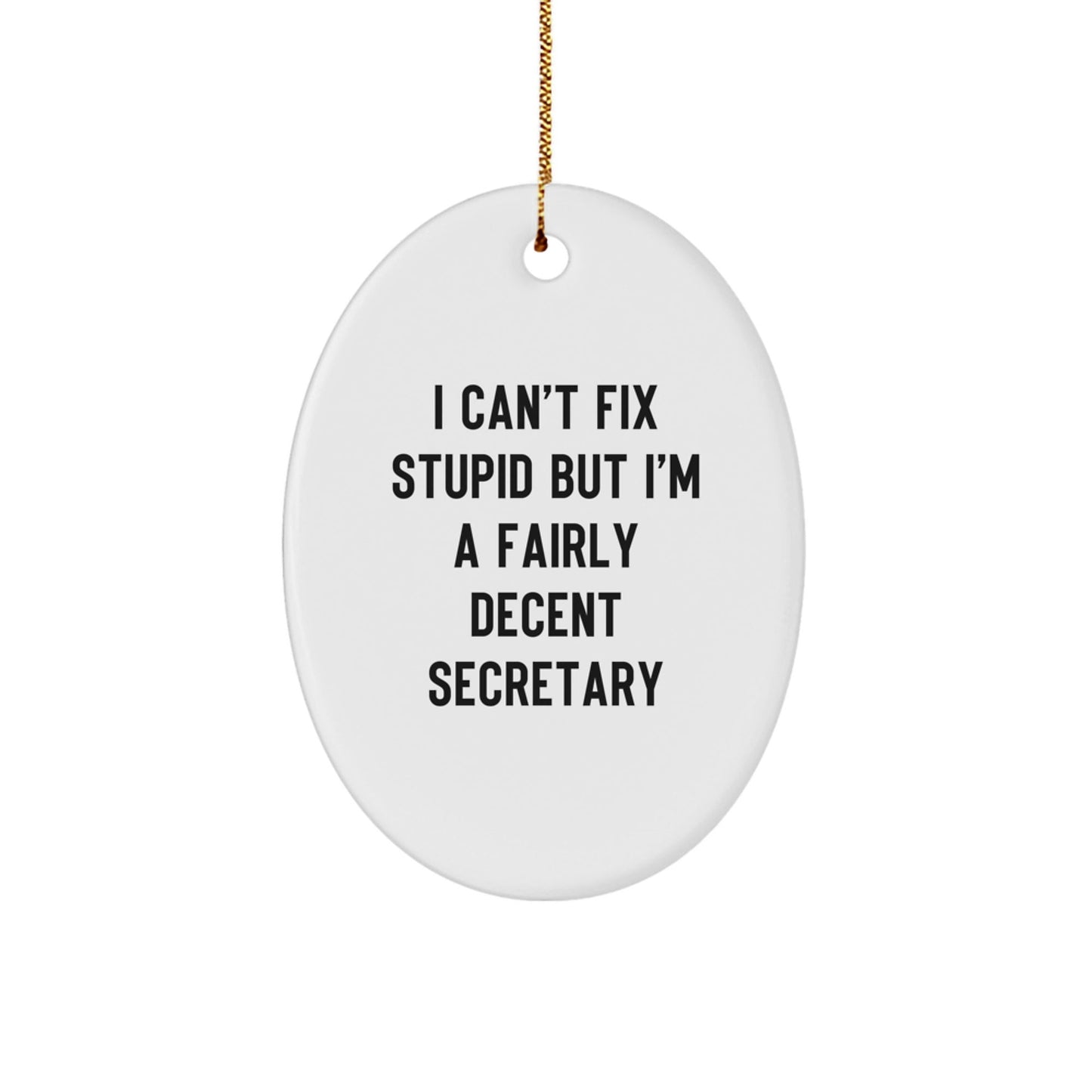 Funny Secretary Oval Ornament Gifts from Friends for Christmas Unique Secretary Desk Decoration Oval Shaped MDF with Sublimation Printing - The Buy Boom
