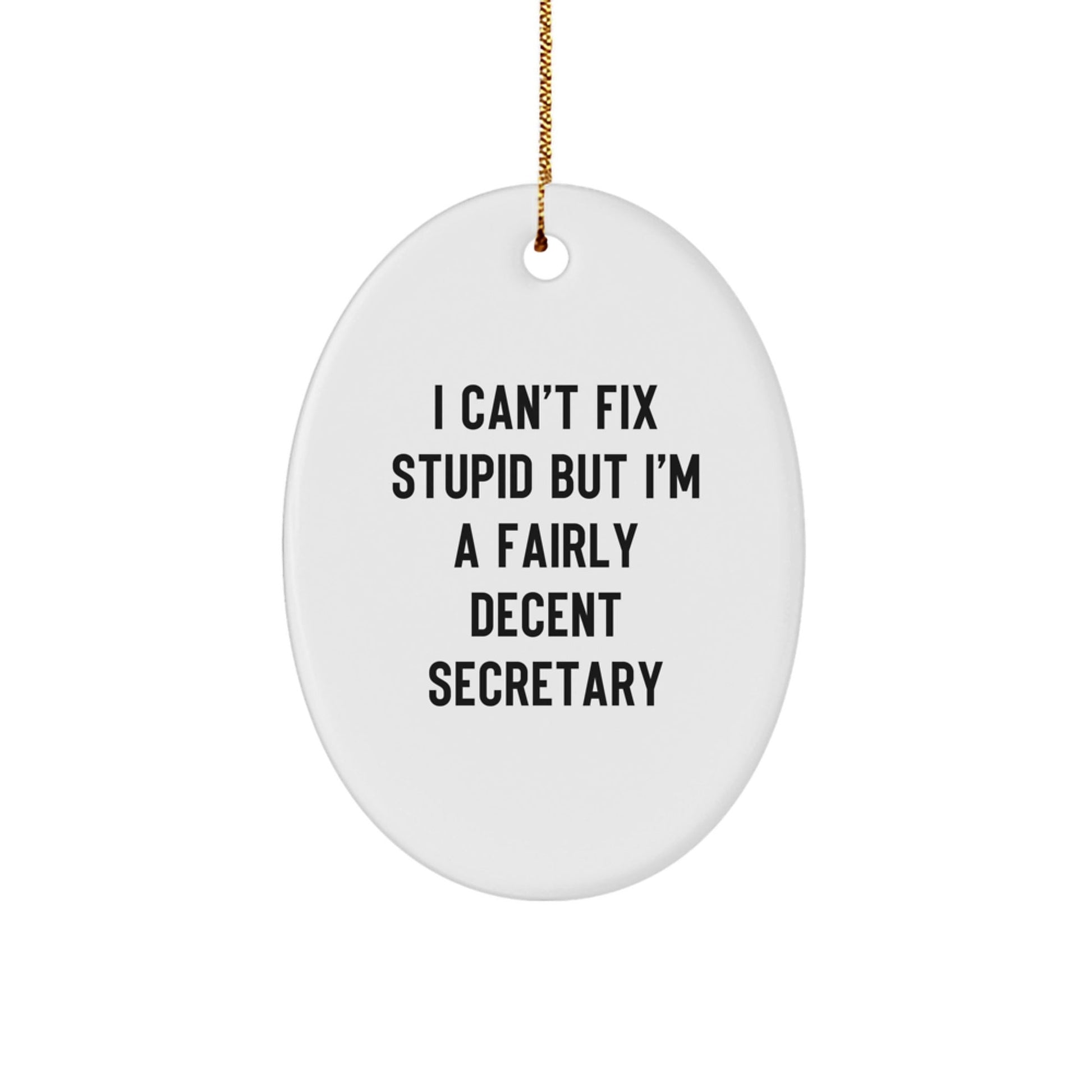 Funny Secretary Oval Ornament Gifts from Friends for Christmas Unique Secretary Desk Decoration Oval Shaped MDF with Sublimation Printing - The Buy Boom
