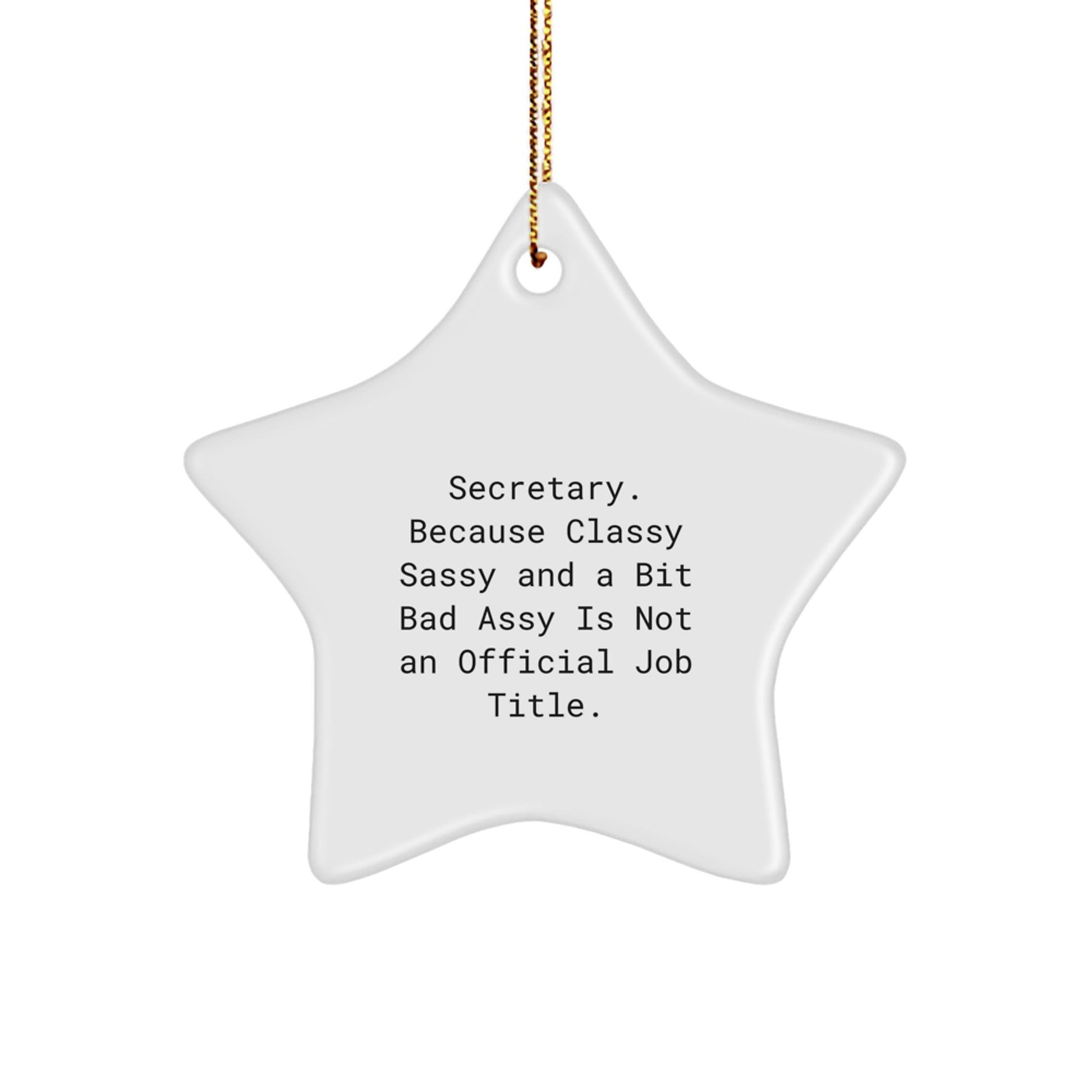 Funny Secretary Star Ornament Gifts from Men to Colleagues, White Star Shaped Christmas Unique Gifts for Women Friends Family - The Buy Boom