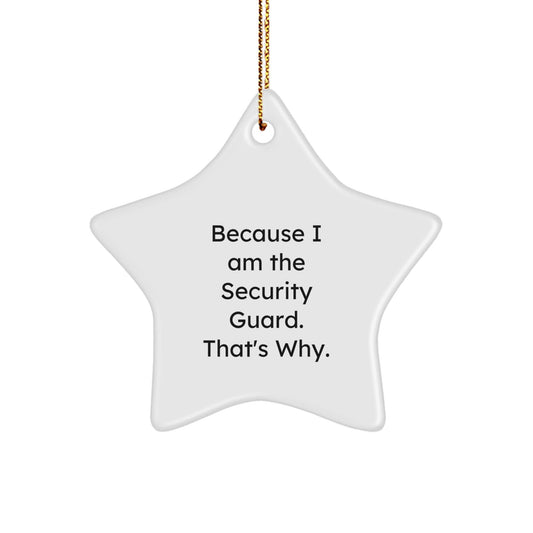 Funny Security Guard Star Ornament Gifts from Friends for Men, Women, or Coworkers - 'Because I Am The Security Guard. That's Why.' - The Buy Boom