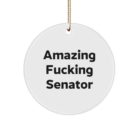Funny Senator Gifts - 'Amazing F - king Senator' Circle Ornament, White, Christmas Unique Gifts from Friends or Family - The Buy Boom