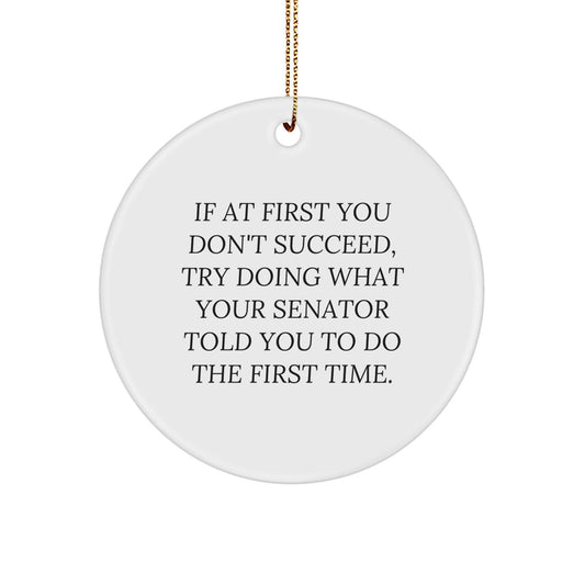 Funny Senator Gifts, Circle Ornament for Christmas, 'If At First You Don't Succeed, Try Doing What Your Senator Told You To Do The First Time.' - Gifts from Men to Senator, Senator Gifts for Men - The Buy Boom