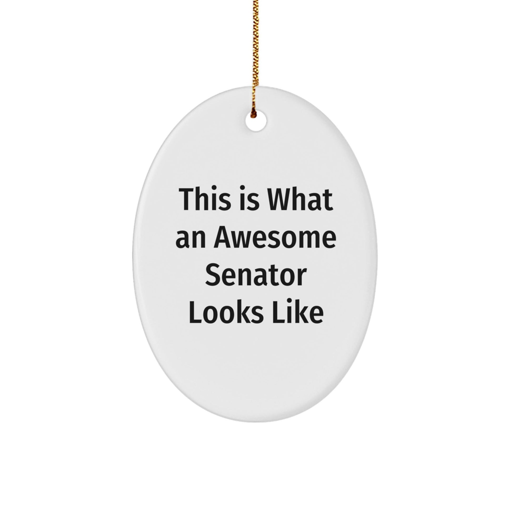 Funny Senator Gifts for Men, Oval Ornament This Is What An Awesome Senator Looks Like, Christmas Unique Gifts from Friends - The Buy Boom