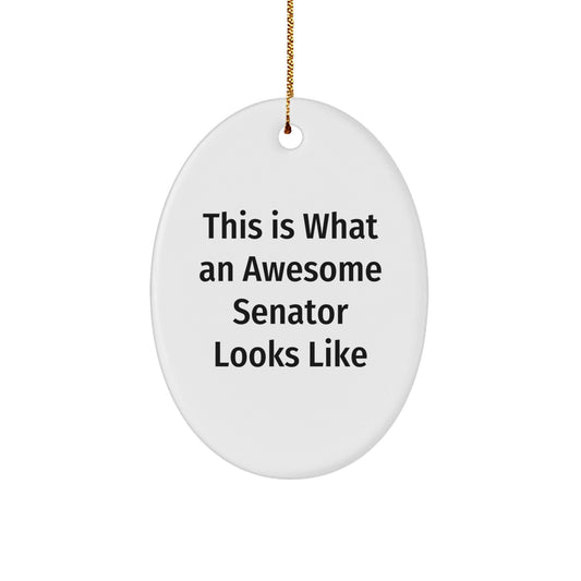 Funny Senator Gifts for Men, Oval Ornament This Is What An Awesome Senator Looks Like, Christmas Unique Gifts from Friends - The Buy Boom