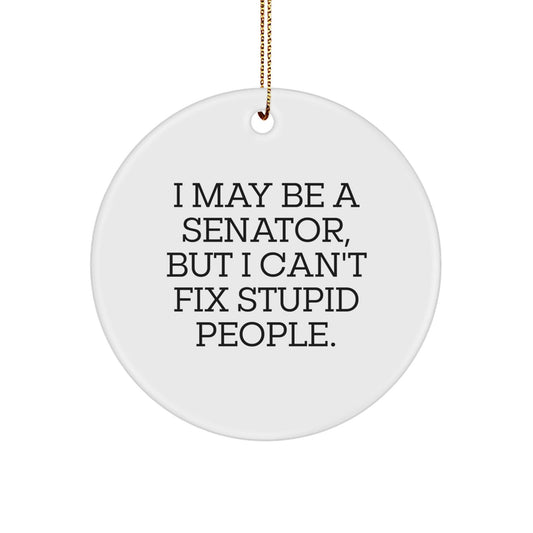 Funny Senator Gifts for Men, Senator Circle Ornament, I May Be A Senator, But I Can't Fix Stupid People. Christmas Unique Presents - The Buy Boom
