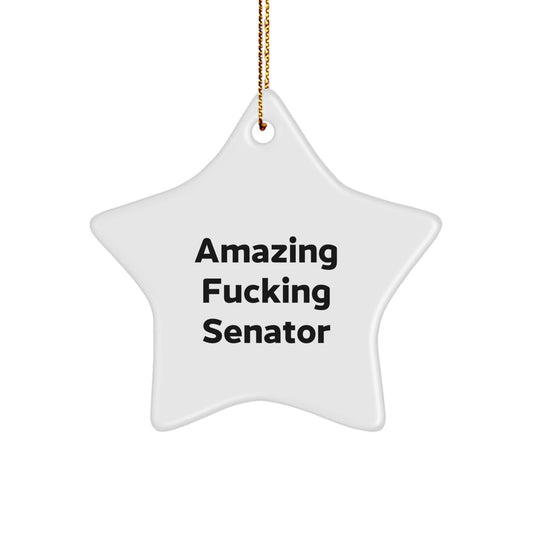 Funny Senator Gifts for Men, Women, Friends, Coworkers, Family - Star Ornament with Amazing F - king Senator Quote - The Buy Boom