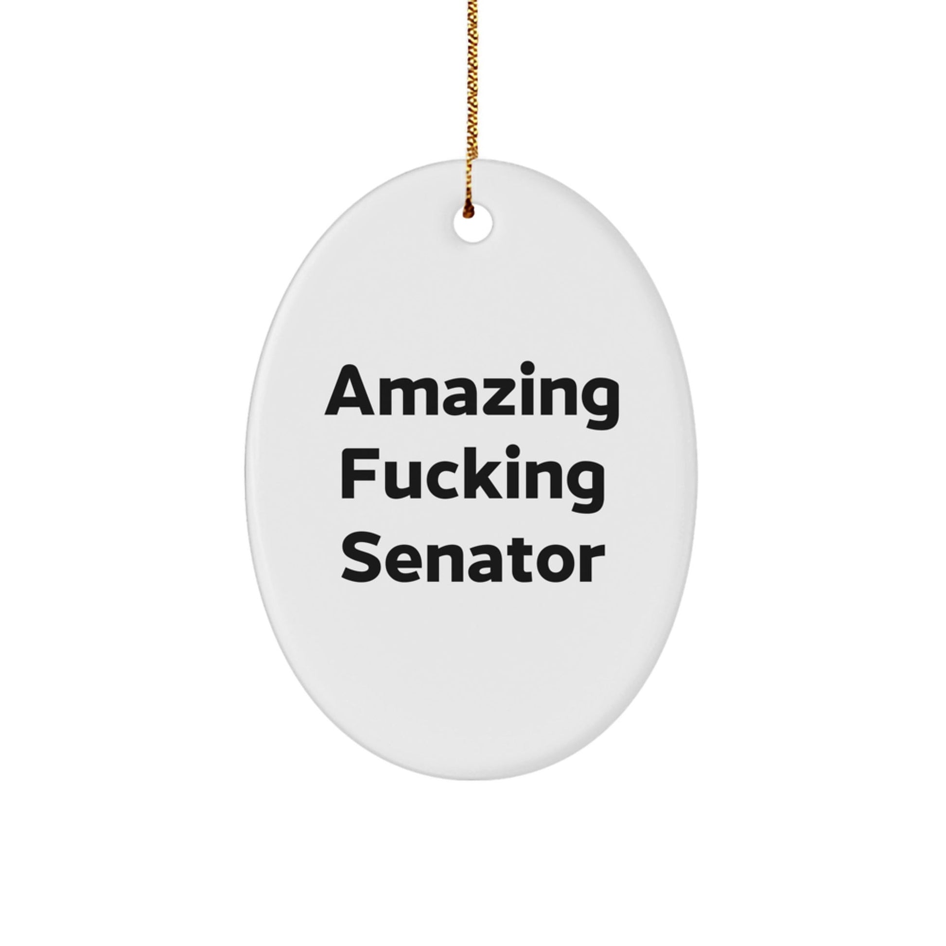 Funny Senator Gifts from Friends for Christmas Unique Oval Ornament 'Amazing F - king Senator' Quote - The Buy Boom
