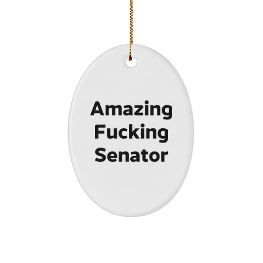 Funny Senator Gifts from Friends for Christmas Unique Oval Ornament 'Amazing F - king Senator' Quote - The Buy Boom