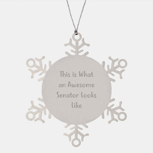 Funny Senator Gifts from Friends - This Is What An Awesome Snowflake Ornament Looks Like on Christmas - The Buy Boom