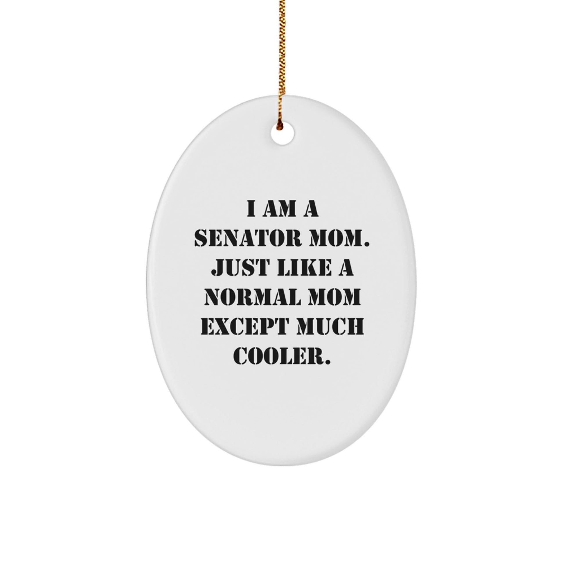 Funny Senator Oval Ornament Gifts for Senator Mom Friends - Christmas Unique Gifts from Family - The Buy Boom