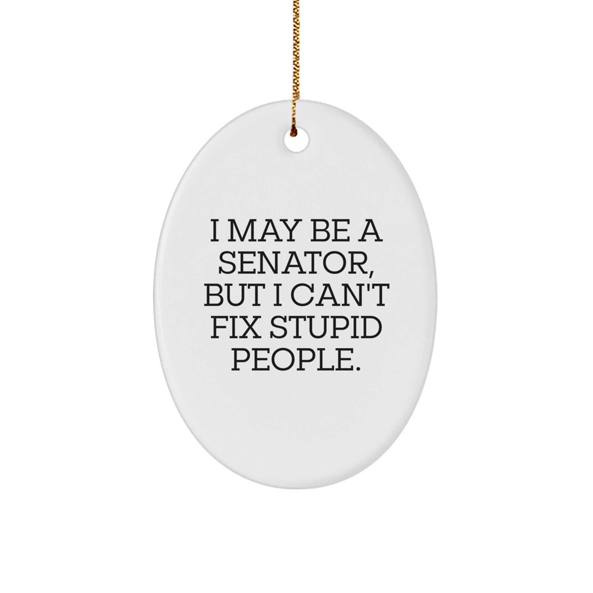 Funny Senator Oval Ornament, I May Be A Senator, But I Cant Fix Stupid People., Gifts from Friends to Senator, Unique Christmas Unique Gifts - The Buy Boom