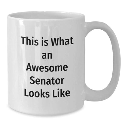 Funny Senator Quotes White Coffee Mug, Gifts from Friends to Awesome Senator, 11oz or 15oz, Ceramic, Microwave and Dishwasher Safe, Graduation Unique Gifts - The Buy Boom
